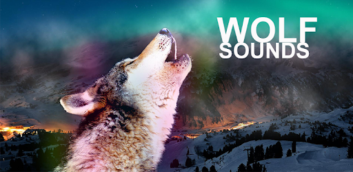 Wolf Sounds PC screenshot