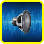 Joke Distorting Voice Recorder for PC