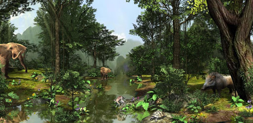 3D Nature Forest Live Wallpaper PC screenshot 3D Nature Forest Live Wallpaper PC screenshot