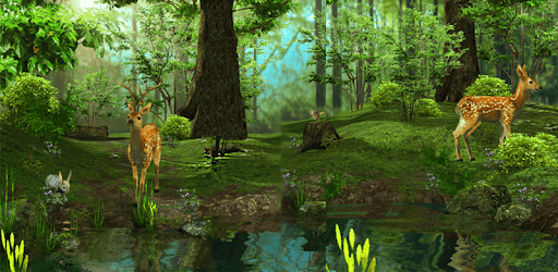 3D Nature Live Wallpaper PC screenshot 3D Nature Live Wallpaper PC screenshot