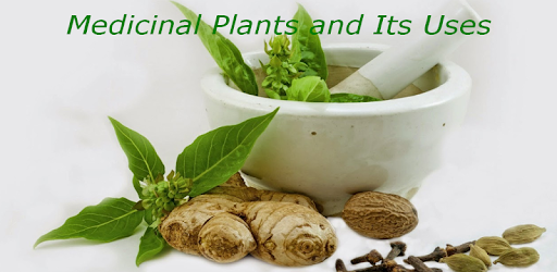 Medicinal Plants and Its Uses PC screenshot