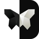 Symmetry: Path to Perfection icon