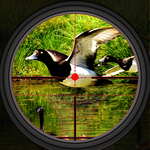 Duck Hunting 2018 - Real Wild Adventure Shooting icon