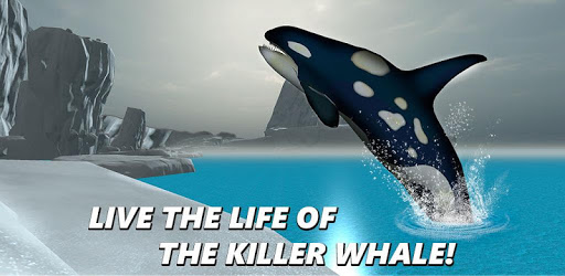 Killer Whale Simulator: Orca PC screenshot