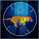 Tiger Hunting 2016 for PC
