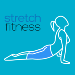 Stretch Fitness Training: Upper & Lower body for PC Stretch Fitness Training: Upper & Lower body for PC