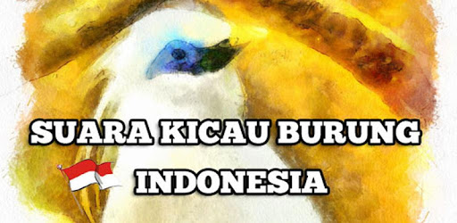 Chirping Birds of Indonesia PC screenshot Chirping Birds of Indonesia PC screenshot