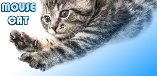 The Cat and the Mouse PC screenshot