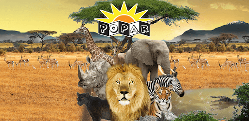 Popar Safari PC screenshot