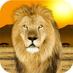 Popar Safari icon
