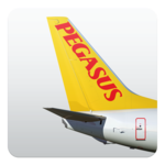 Cheap Flight Tickets | Pegasus icon