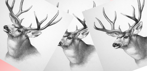Animals Drawing PC screenshot