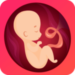 Pregnancy due date tracker with contraction timer for PC