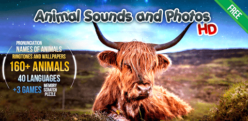 Animal Sounds PC screenshot