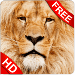 Animal Sounds for PC