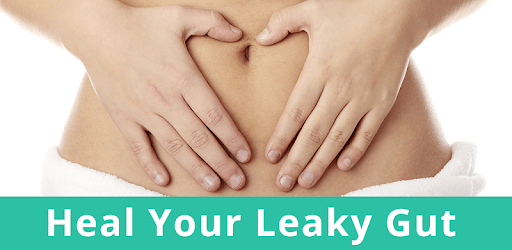 Leaky Gut Guide PC screenshot
