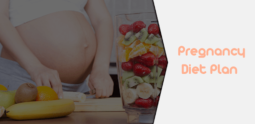 Pregnancy Diet Plan PC screenshot