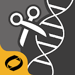 Restriction Enzyme Tool for PC