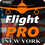 Pro Flight Simulator NY Free icon