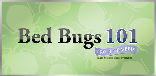 Bed Bugs 101 PC screenshot
