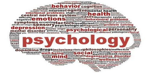 Psychology Dictionary PC screenshot Psychology Dictionary PC screenshot