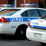 Police Car Parking : Simulator for PC