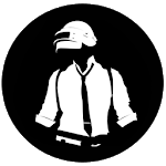 Battle Ground Stats App for PC