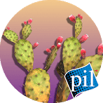 PI VR Wildlife Wonders icon