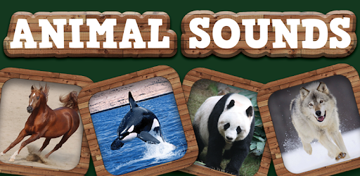 Animal Sounds PC screenshot Animal Sounds PC screenshot