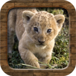 Animal Sounds for PC Animal Sounds for PC