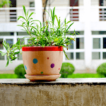 Houseplants Decor for PC Houseplants Decor for PC