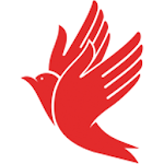 Quick Couriers & Logistics icon