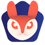 Private Browser Rabbit - The Incognito Browser for PC