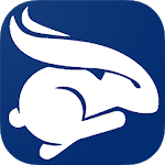 Rabbit Rally 2.0 icon