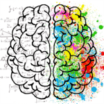 Brain Training icon