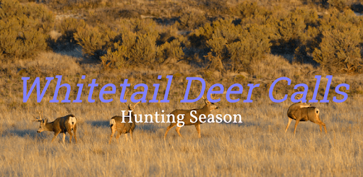Whitetail Deer Hunting Calls PC screenshot