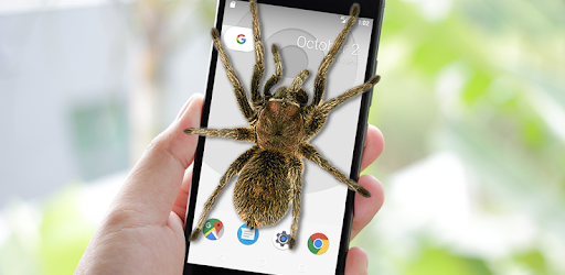 Spider on Screen Prank PC screenshot