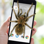 Spider on Screen Prank for PC