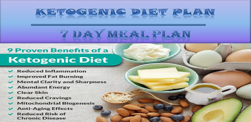 Ketogenic Diet PC screenshot