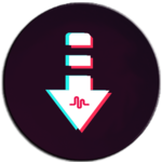 Video Downloader for Tiktok for PC