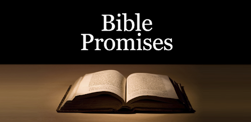 Bible Promises PC screenshot