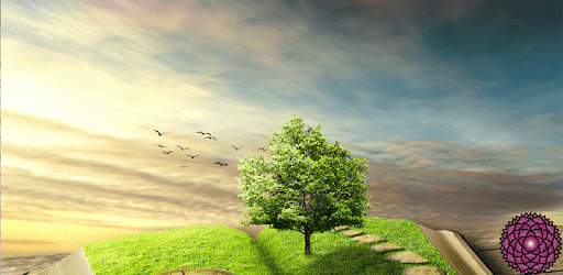 Reiki Wisdom Library PC screenshot