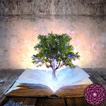 Reiki Wisdom Library icon