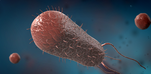 Bacteria interactive educational VR 3D PC screenshot