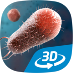 Bacteria interactive educational VR 3D icon