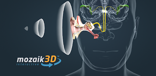 The mechanism of hearing educational VR 3D PC screenshot The mechanism of hearing educational VR 3D PC screenshot