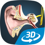 The mechanism of hearing educational VR 3D icon