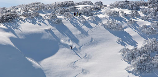 Hotham PC screenshot Hotham PC screenshot