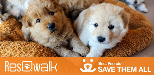 ResQwalk by Best Friends Animal Society PC screenshot