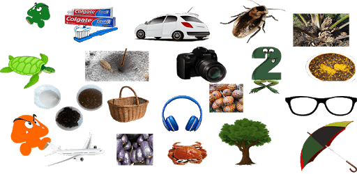 Swahili Visual Dictionary PC screenshot